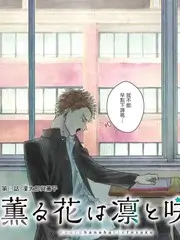 声音考古队 音乐纪实综艺高清观看